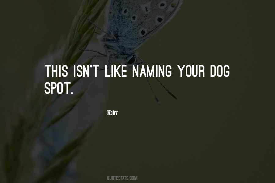 Your Spot Quotes #131090