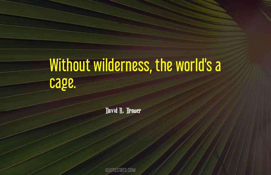 Darbee Video Quotes #1289196