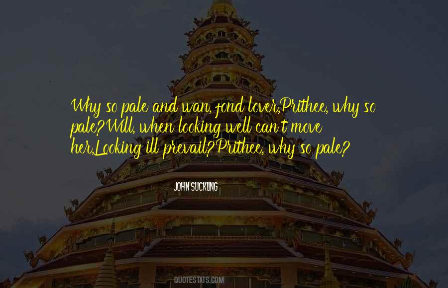 Wonder Wan Quotes #128048