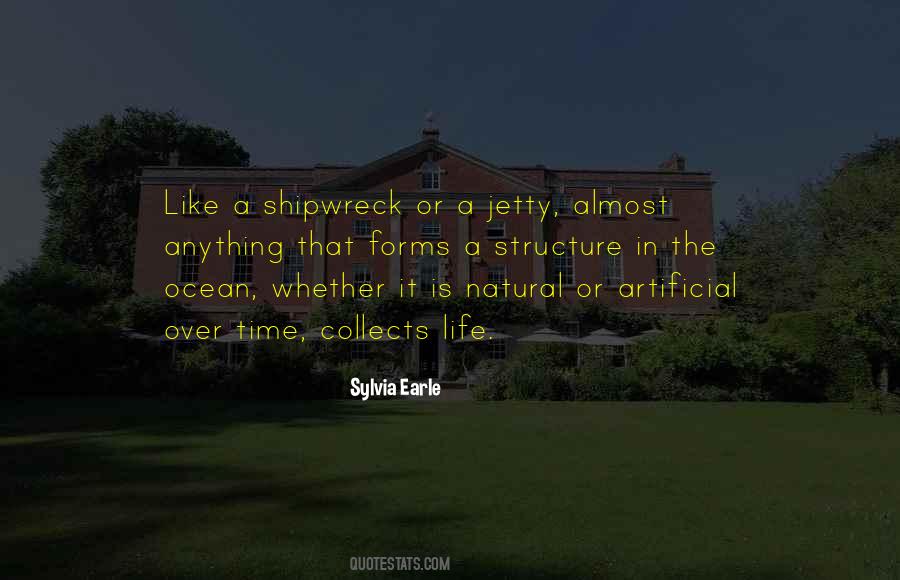 Shipwreck The Quotes #374078