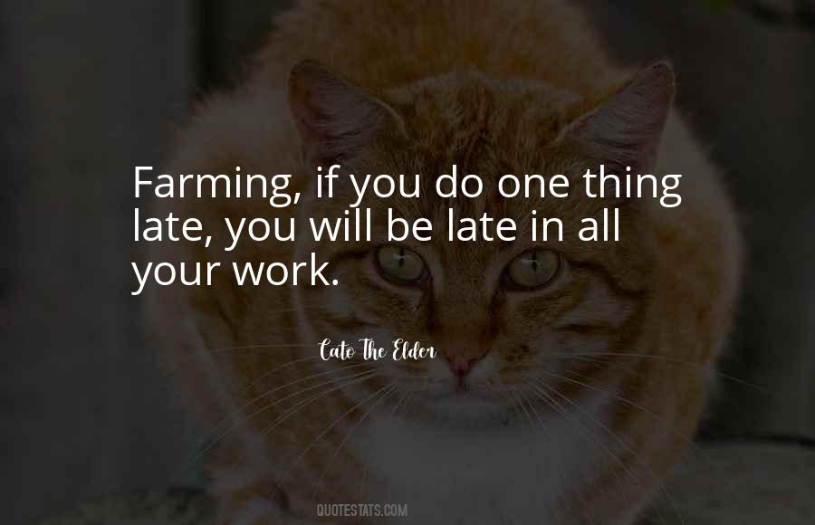 Pictorial Essay Quotes #85608
