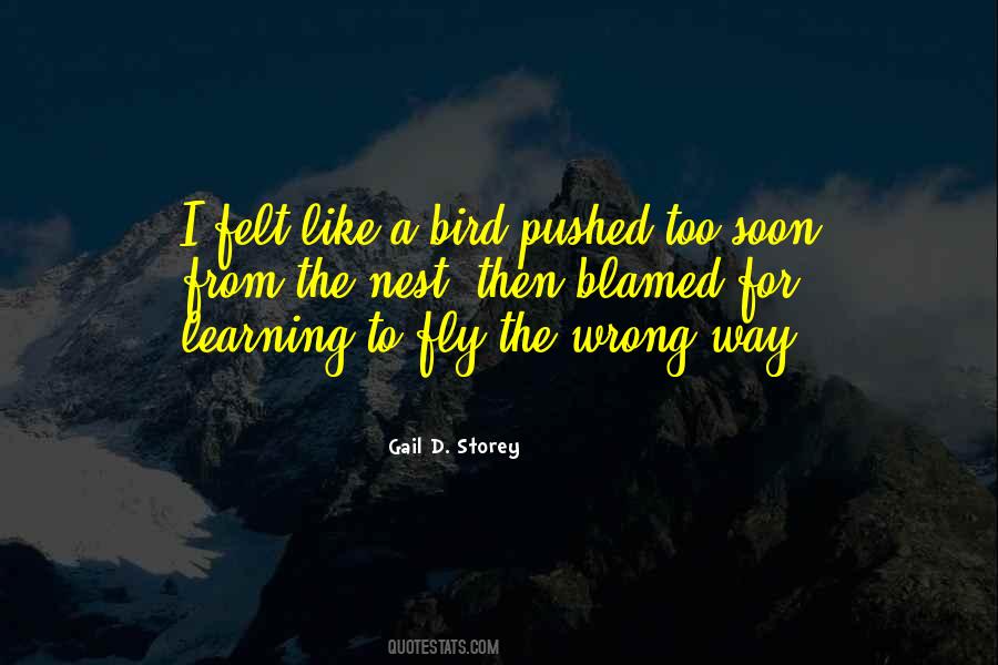 Quotes About Learning To Fly #342309