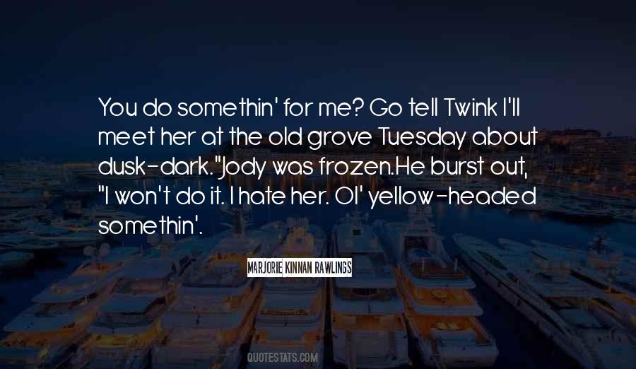 Yasar Ne Yasar Ne Yasamaz Quotes #803606
