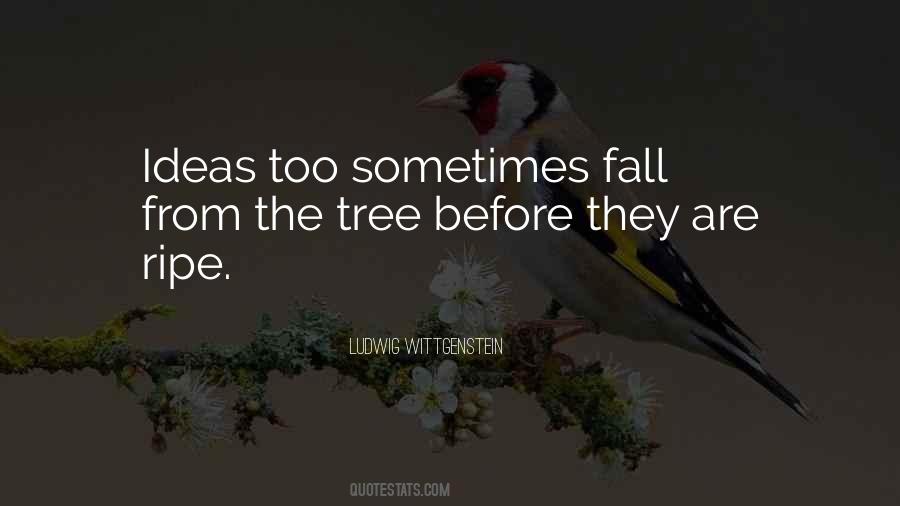 Enzweiler Architects Quotes #63838