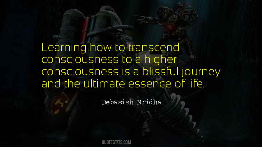 Quotes About Learning Is A Journey #483093