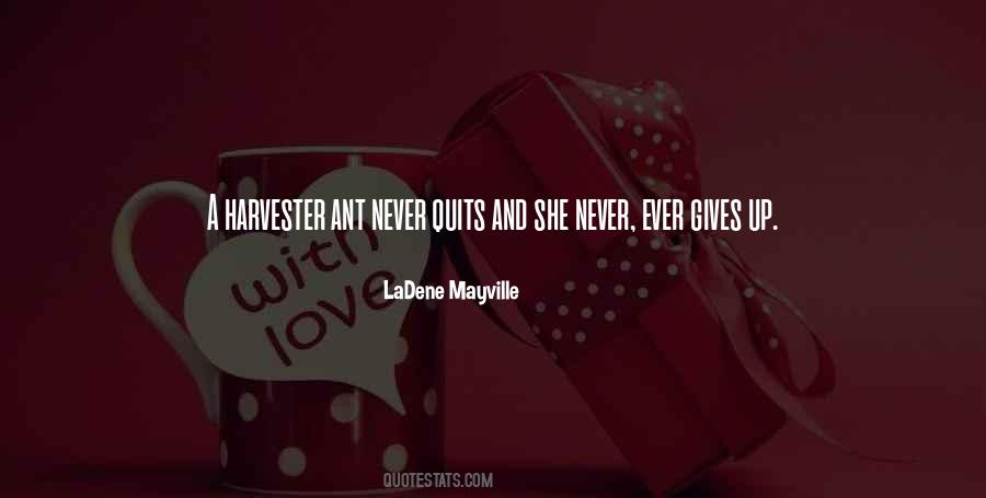 Memy O Quotes #525380
