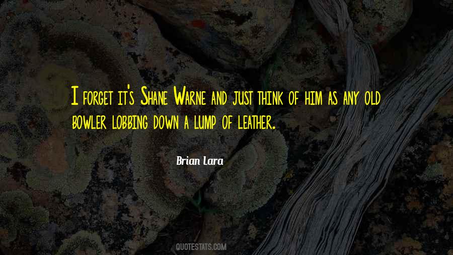 Saralinda Noakes Quotes #953763