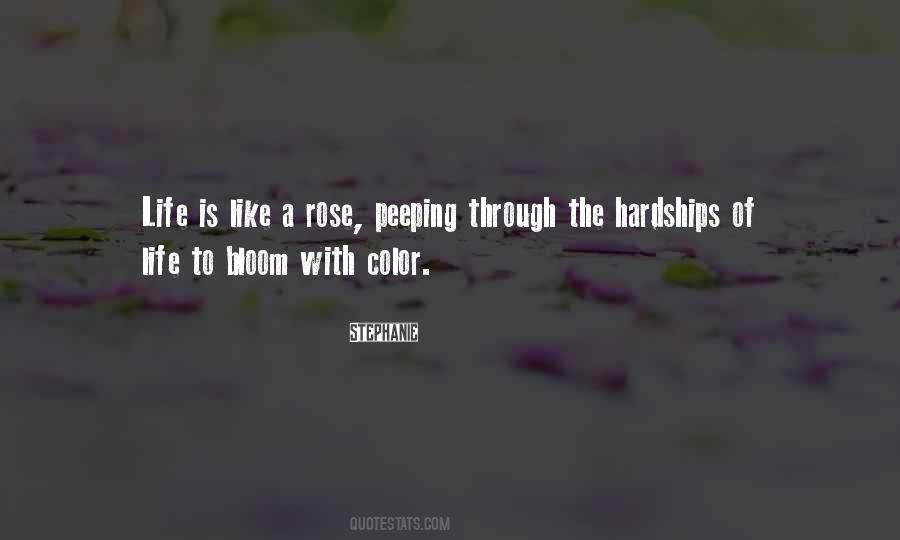 Color Life Quotes #203174