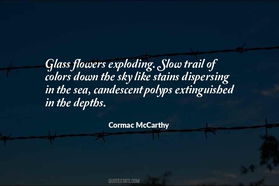 Colors Flowers Quotes #1004830