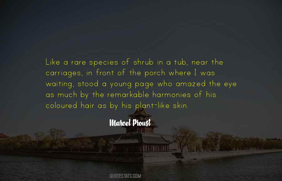 Coloured Hair Quotes #1658735