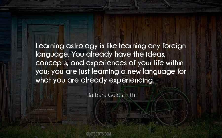 Quotes About Learning A Foreign Language #1363425