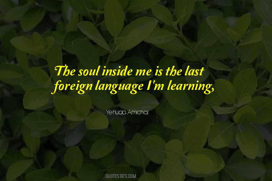 Quotes About Learning A Foreign Language #1853616
