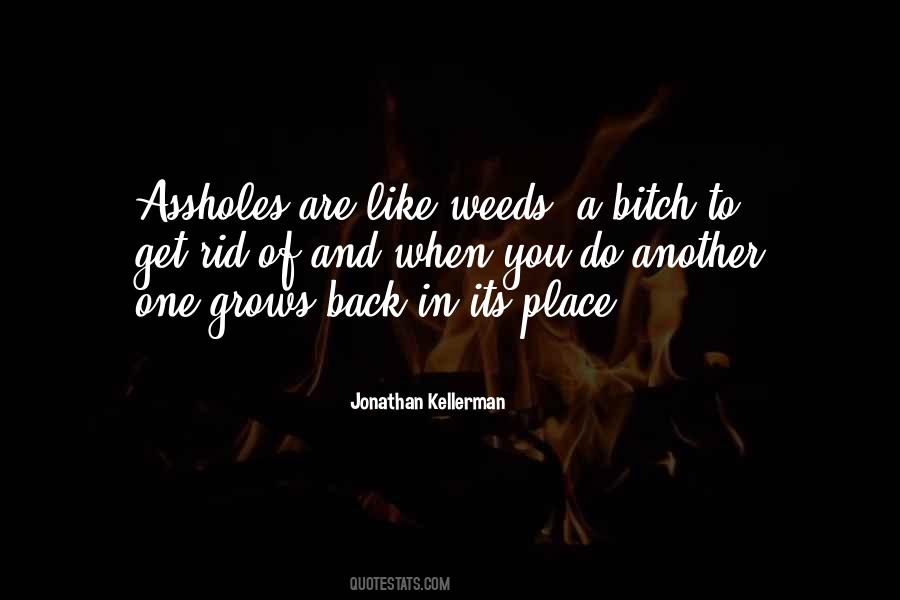 Come Back To Reality Quotes #80469