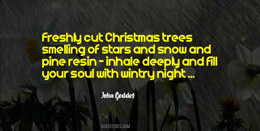 Wintry Night Quotes #541822