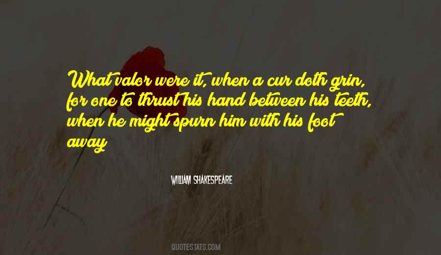 Slobodanka Danka Quotes #649572