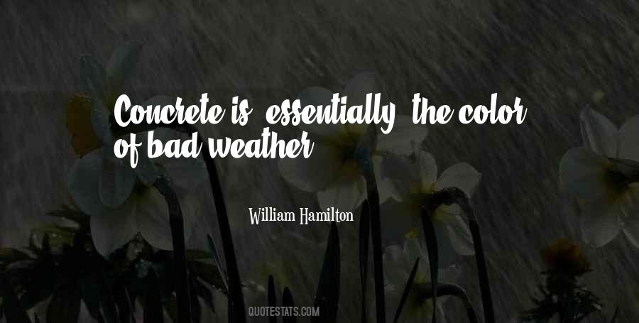 Neutrale Shampoo Quotes #930375