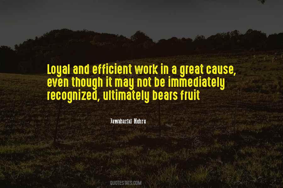 Bjelogrlic Dragan Quotes #1488185