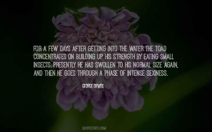 Small Strength Quotes #1234997