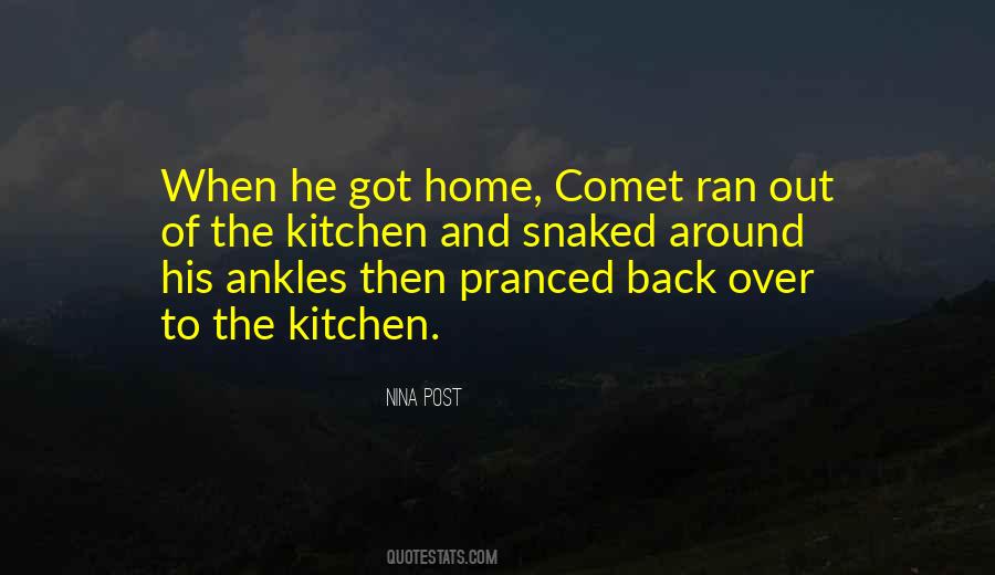 Comet Quotes #1195194