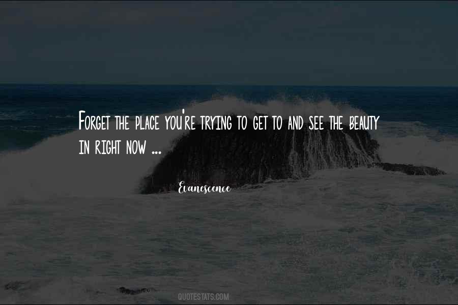 Beauty S Evanescence Quotes #1426428