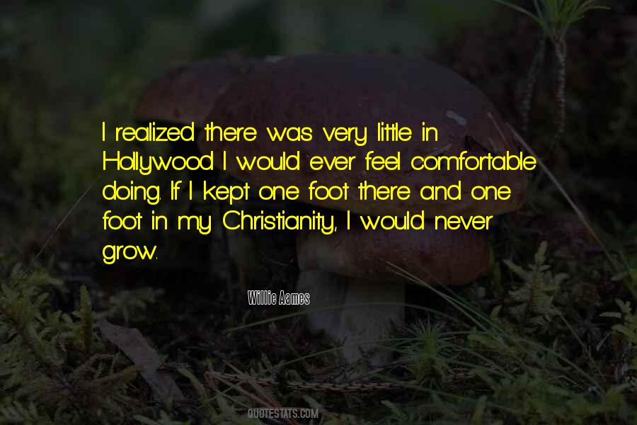 Comfortable Christianity Quotes #79457
