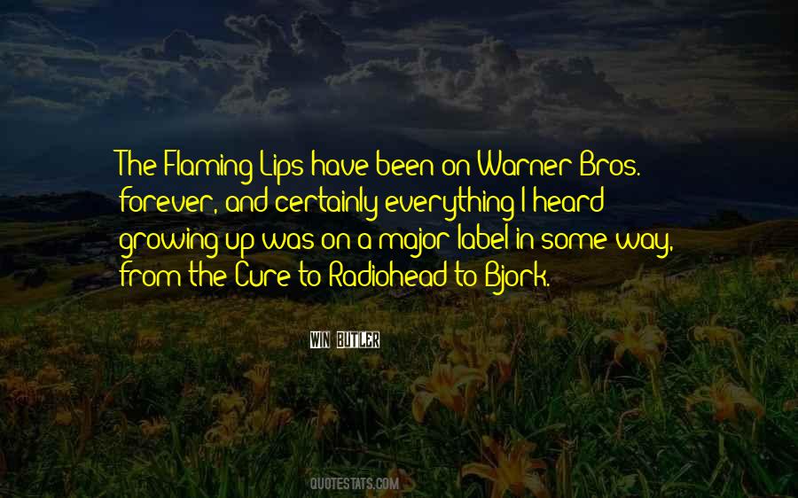 Klingel Belgie Quotes #925858