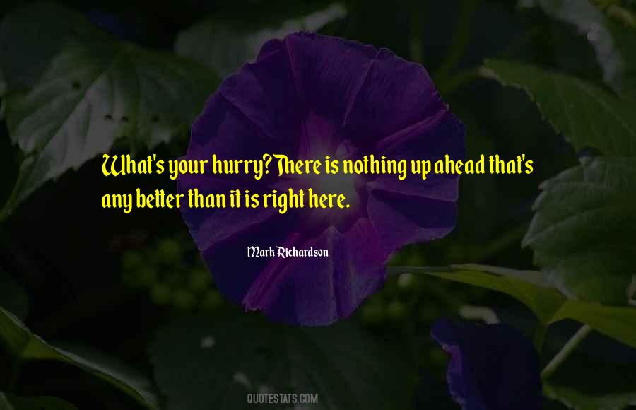 Kurylenko Quantum Quotes #1017269