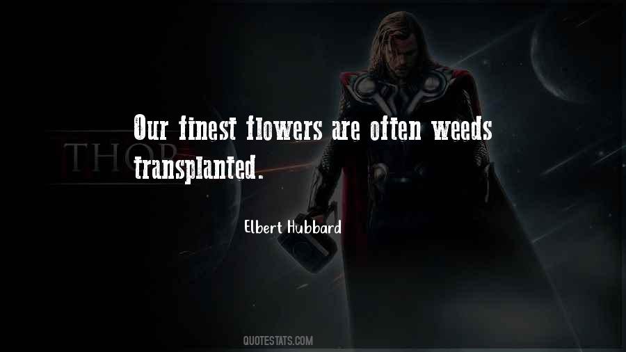 Gulo Gulo Quotes #1504770