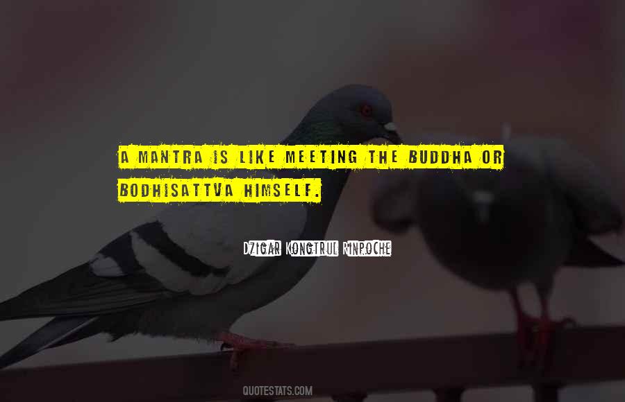 Kaupena Miranda Quotes #1088241