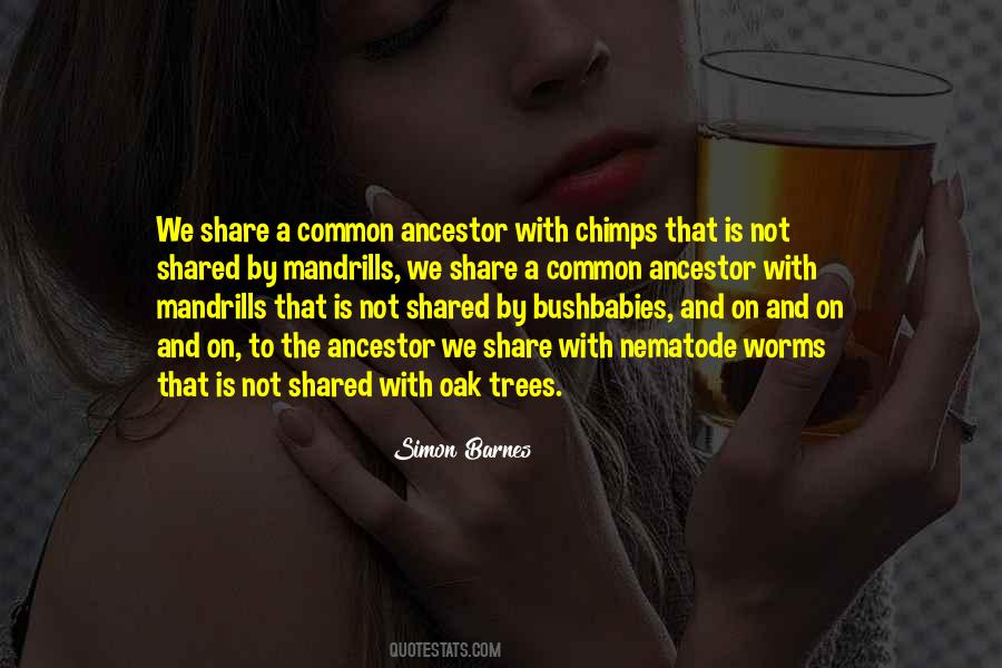 Common Ancestor Quotes #1131108