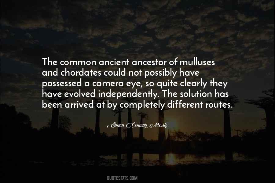 Common Ancestor Quotes #1431