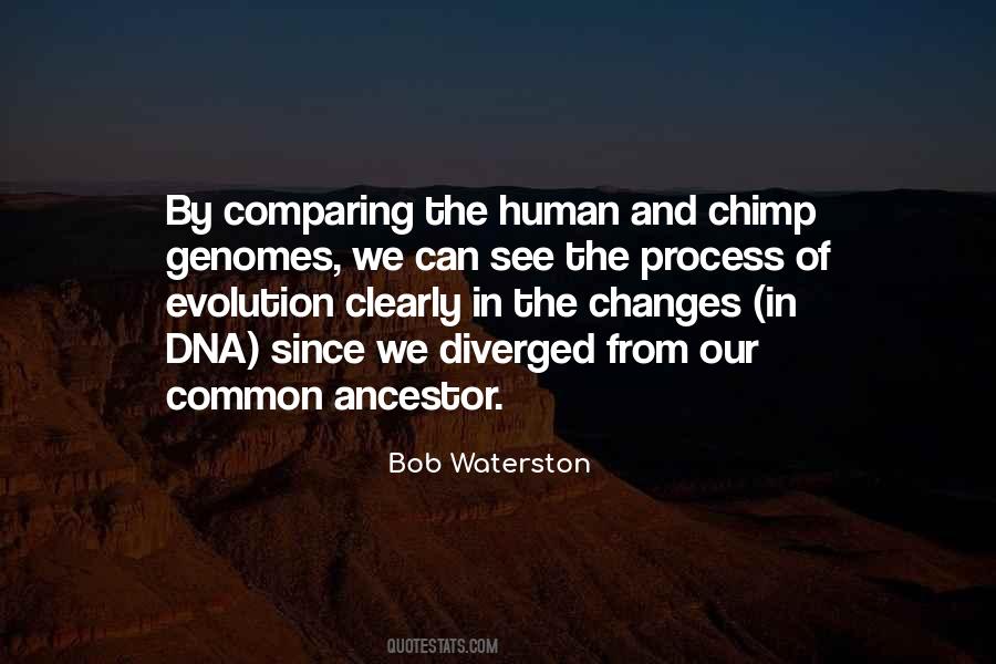 Common Ancestor Quotes #971023