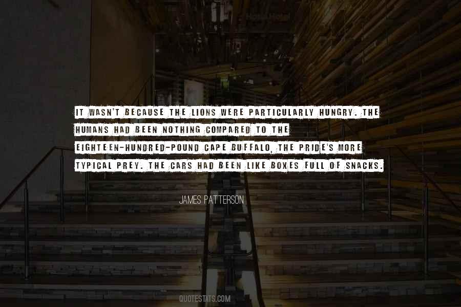 Hidupku Menggenapi Quotes #371617