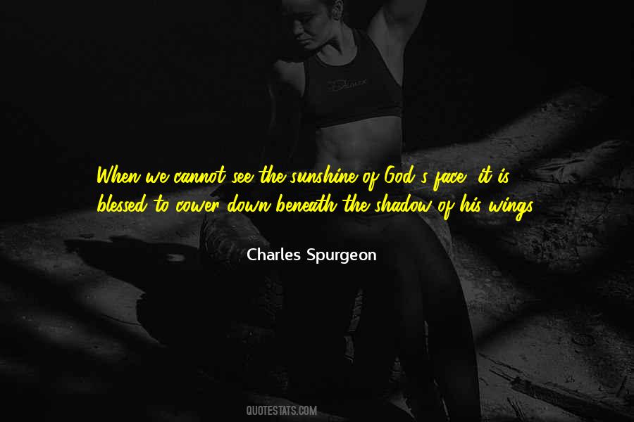 Scirotto Chiropractic Rehab Quotes #773922