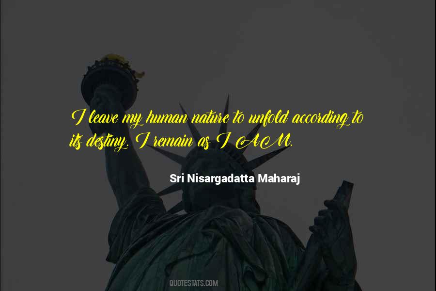Visezi Paianjeni Quotes #146700