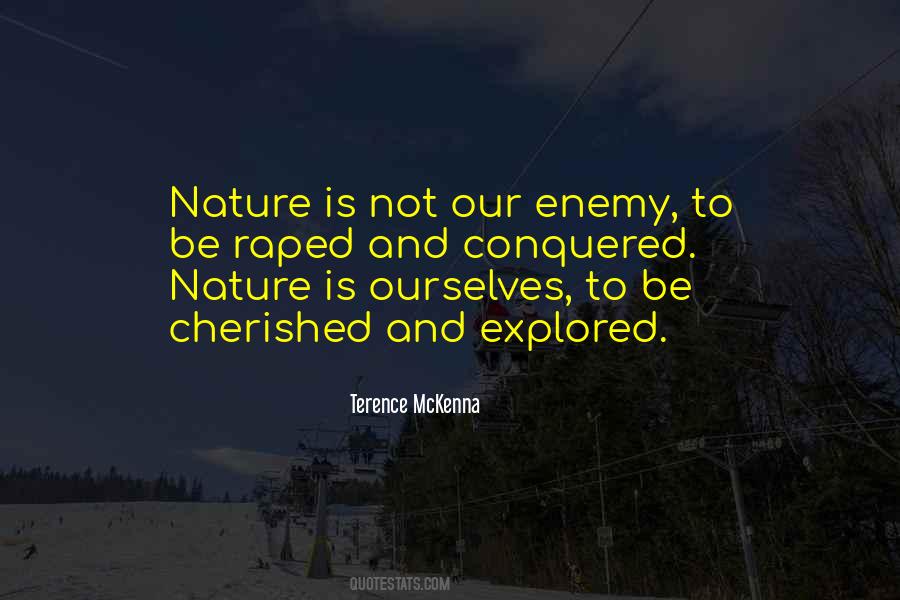 Dorceta Quotes #1564629