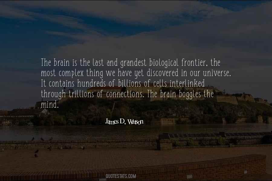 Sawley Junior Quotes #1838008
