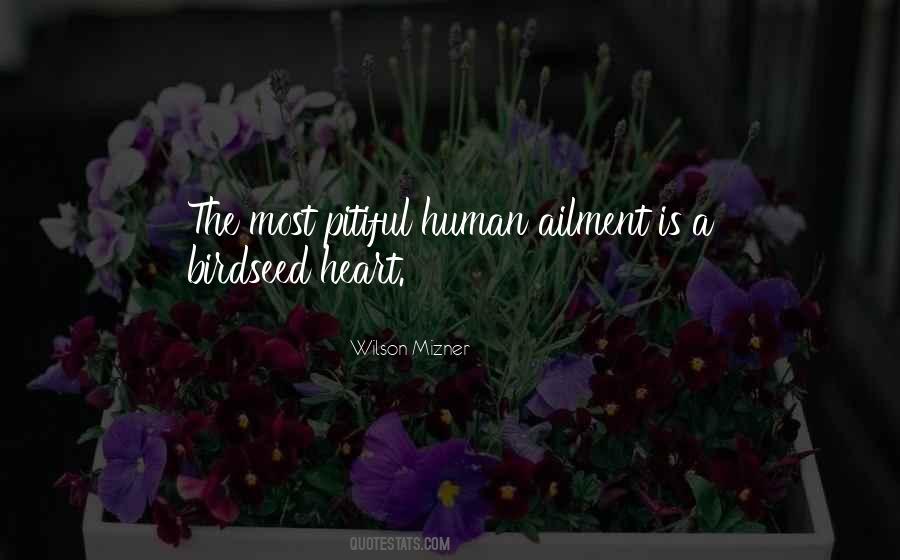 Einsteins Big Idea Quotes #523683