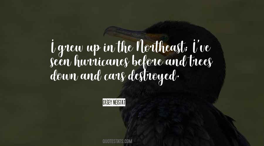 Suzette Martinez Quotes #913632
