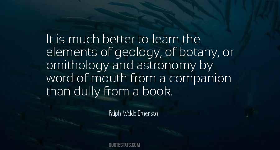 Companion Quotes #1207785