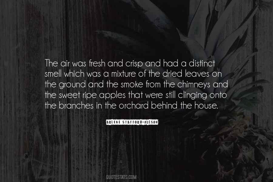 Blinkers Beachside Quotes #1419393 Blinkers Beachside Quotes #1419393