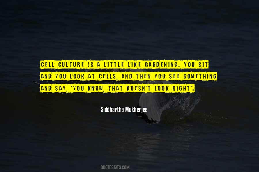 See Something Say Something Quotes #378403