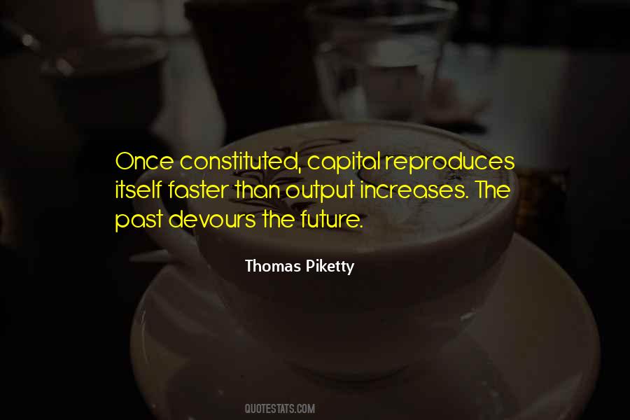 Piketty Thomas Quotes #1133827