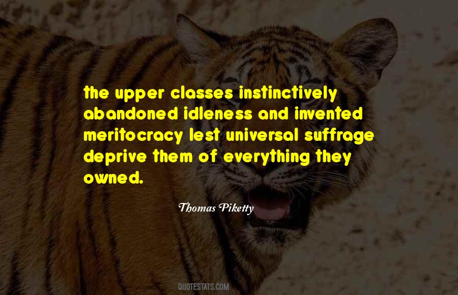 Piketty Thomas Quotes #63627