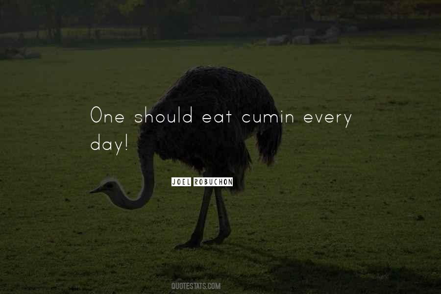 Robuchon Quotes #882058