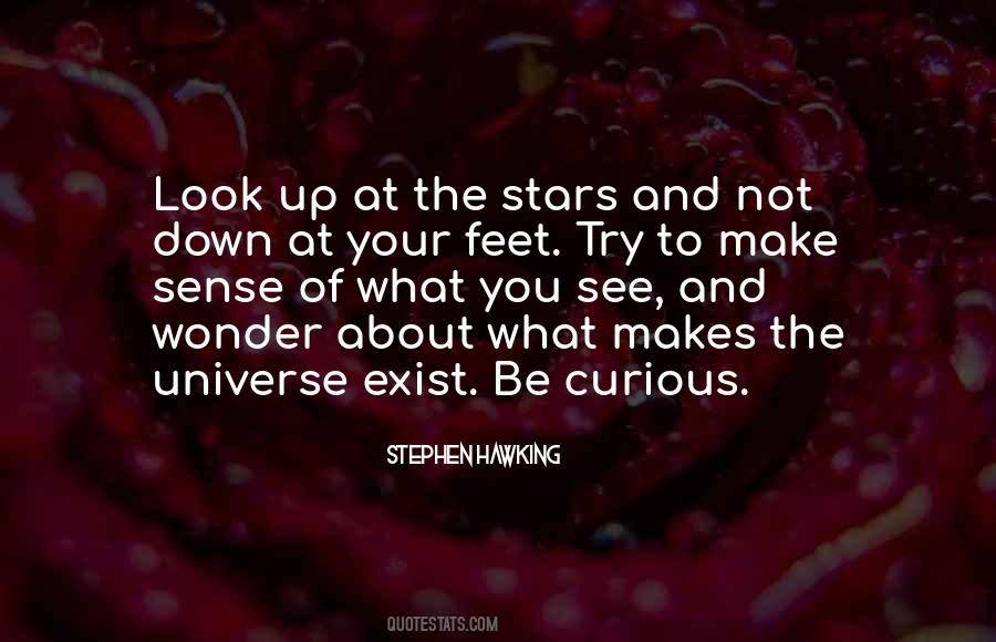 Look Up To The Stars Quotes #1152236