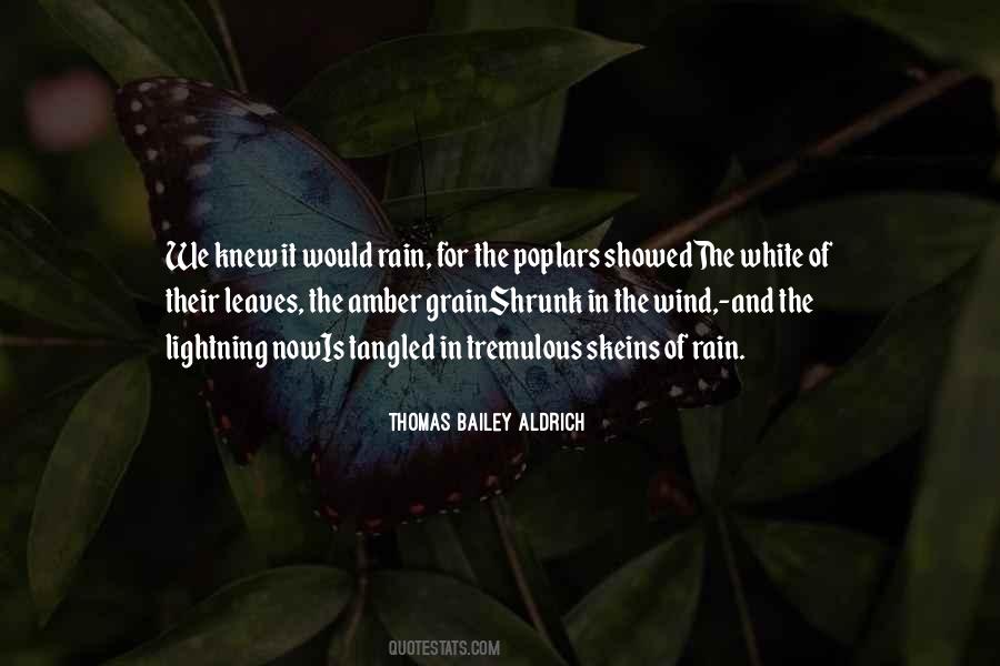 Thomas Aldrich Quotes #666025