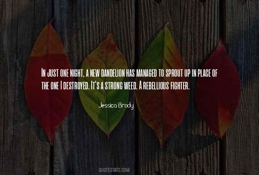 Strong Fighter Quotes #1551784
