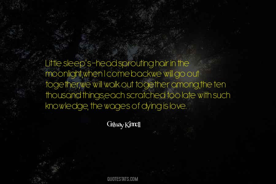 Love Sleep Quotes #314507