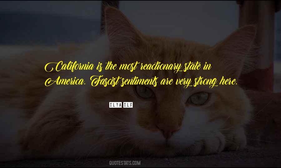 Oshima Surf Quotes #626897